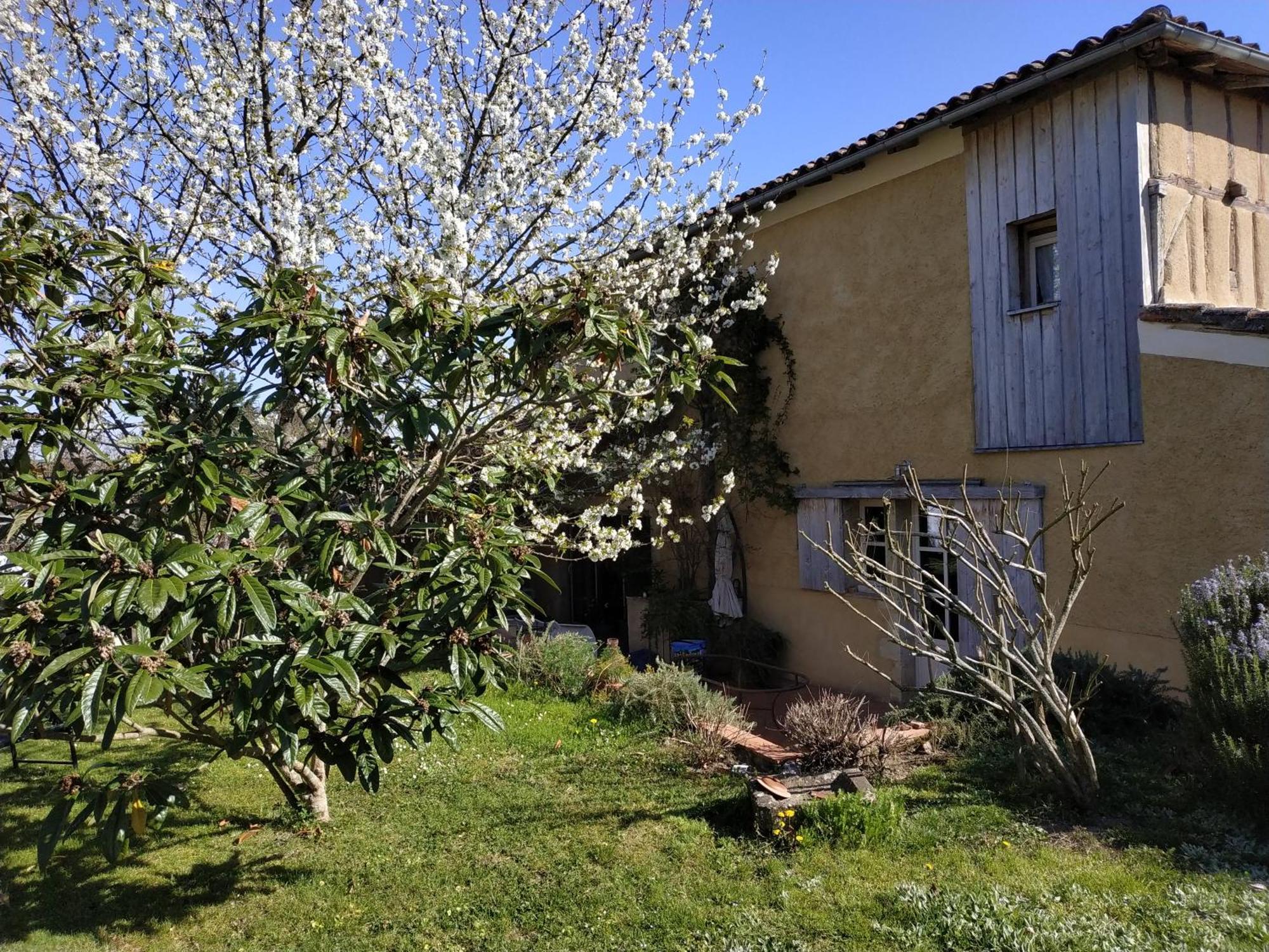 "Au Campaner" Chambres Dans Maison Gasconne Barran Exterior foto